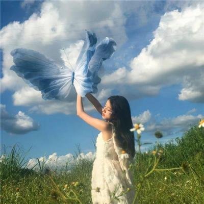 护花大臣